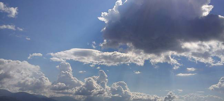 a9514204-4afb-49f4-9c7b-73656e03b634.jpg