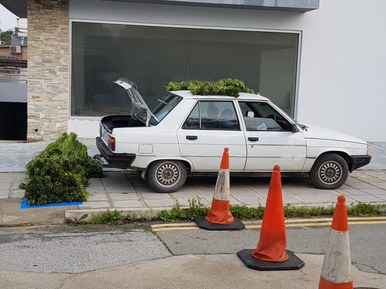 1190cac2-efc1-4a5c-a69b-89f0b18d2d41.jpg