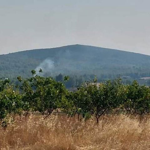 Μία σύλληψη για εμπρησμό στον Αυλώνα-Φλογοβόλα και αναπτήρες είχαν οι προσαχθέντες στο Μενίδι