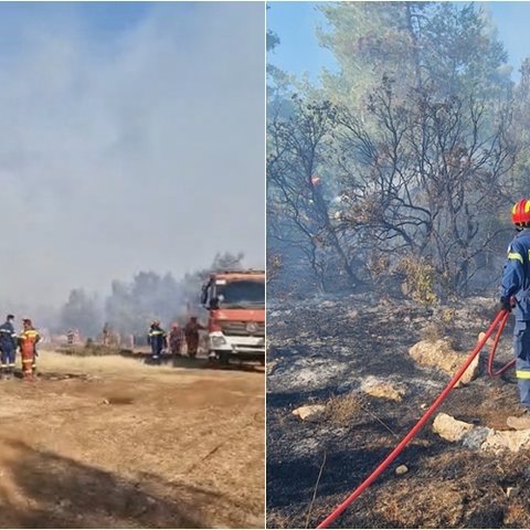 Συνεχίζεται η επιχείρηση της κυπριακής αποστολής στην Πάρνηθα-Δύσκολες οι συνθήκες (pics)