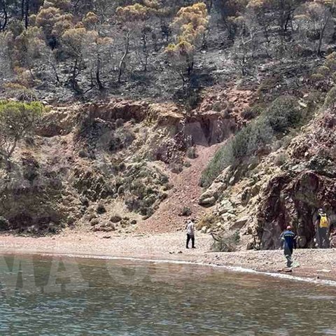 Εντοπίστηκαν ίχνη από κροτίδες στην παραλία στην Ύδρα-Αυτοψία την πέμπτη ημέρα μετά την πυρκαγιά