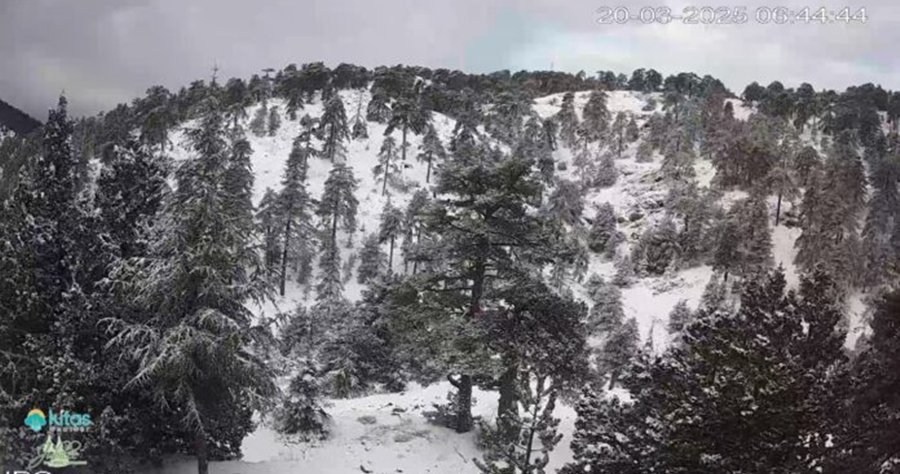 Χιονίζει στο Τρόοδος-Αναλυτικά η πρόγνωση του καιρού