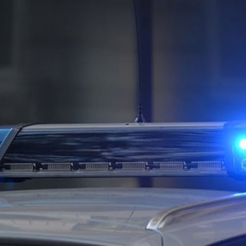 Μετέφερε με φορτηγό ζώα από τα κατεχόμενα 42χρονος και κατέληξε με χειροπέδες