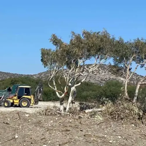 Προσπάθειες εξακρίβωσης της νομιμότητας του καθαρισμού βλάστησης στον Πύργο Λεμεσού