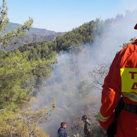 Αυξημένος κίνδυνος πυρκαγιών λόγω σφοδρών ανέμων-Οι συστάσεις του Τμήματος Δασών