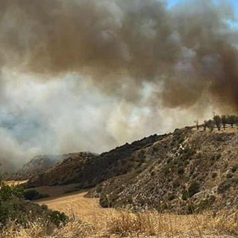Υπό έλεγχο η φωτιά στην Πάφο, κατέκαψε 75 εκτάρια από ξηρά χόρτα και δέντρα-Προστατεύτηκαν κατοικίες