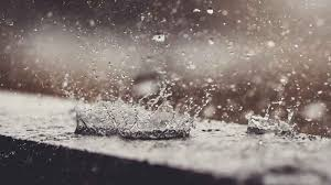 e2f69ec7-908b-4add-838c-99c66f78db12.jpg