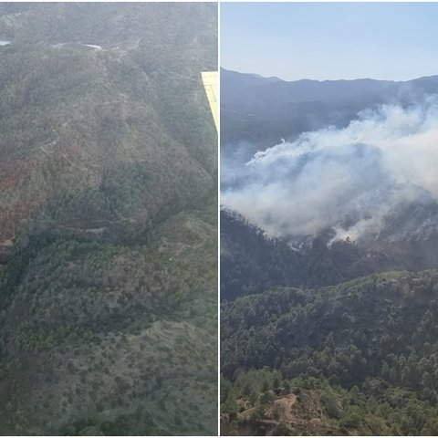 Τι άφησε πίσω της η φωτιά στον Άγιο Μάμα, παραμένουν δυνάμεις στο σημείο