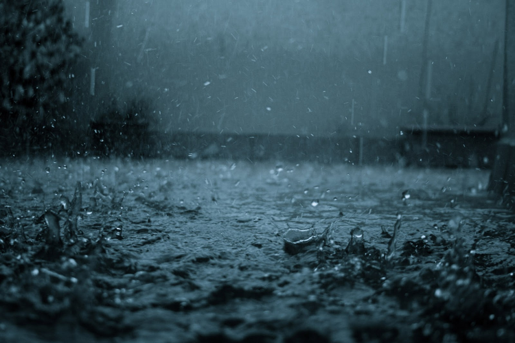 0c0a9a40-2a94-4595-ac2b-89c3692a6cd0.jpg