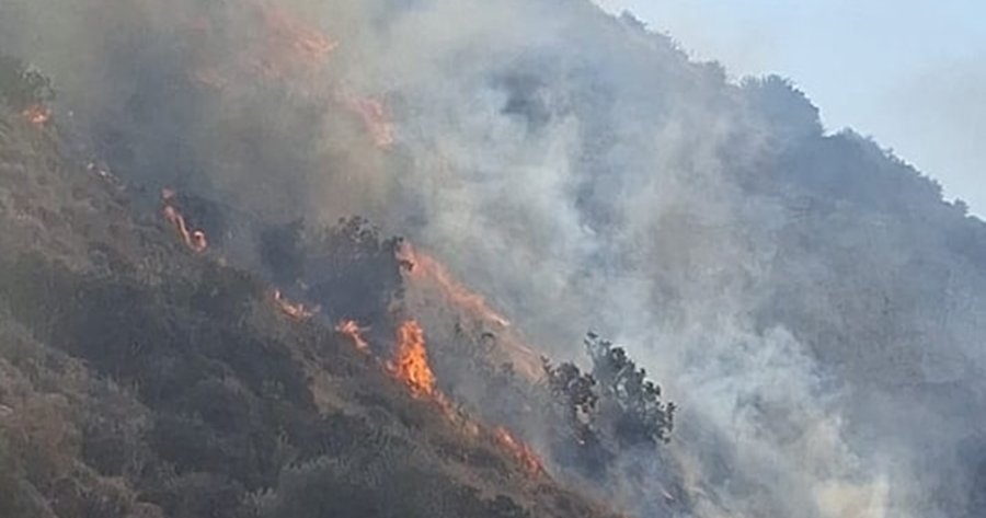 ΒΙΝΤΕΟ: Πυρκαγιά στα Πάνω Πολεμίδια-Στη μάχη κατάσβεσης και πτητικά μέσα