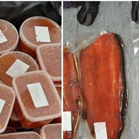 Φόρτωσε τη βαλίτσα του με χαβιάρι και σολομό από τα κατεχόμενα και τον ανέκοψαν στο οδόφραγμα