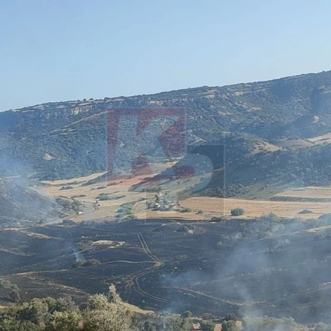 Υπό μερικό έλεγχο η φωτιά στην κατεχόμενη Καρπασία