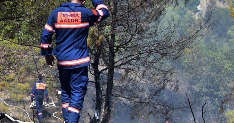 Υπό έλεγχο πυρκαγιά στην κοινότητα Αναρίτας-Κάηκαν ξηρά χόρτα και άγρια βλάστηση