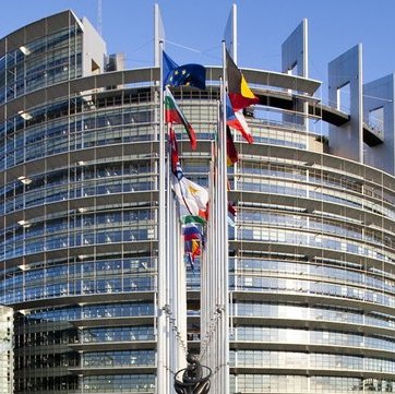 Πάνω από τους μισούς Ευρωβουλευτές εκλέχθηκαν για πρώτη φορά στο Ευρωκοινοβούλιο
