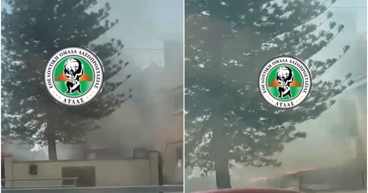 ΒΙΝΤΕΟ: Πυρκαγιά σε αποθήκη νηπιαγωγείου στο Τσέρι-Επεκτάθηκε σε πέργολα και αλουμινένια είσοδο