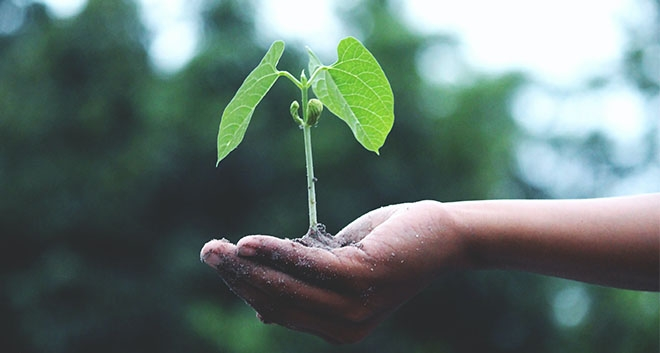 31029_kadis-sustainable-development-commitments-require-international-cooperation.jpg