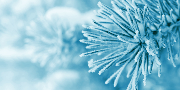 cbc8a5ea-d0f0-495b-9127-273e6db8fd28.jpg