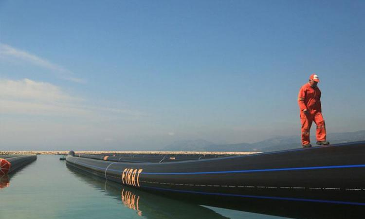 a154cf5e-2e67-4485-adff-b7845e2986cb.jpg
