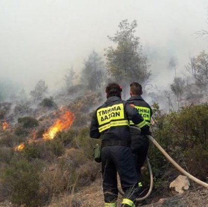 Aποτράπηκε επέκταση φωτιάς εντός του Δασικού Πάρκου Αθαλάσσας