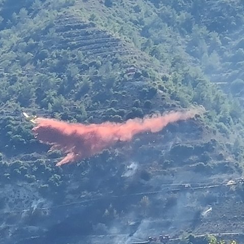 Πρόλαβαν τα χειρότερα στη Λόφου-Παραμένουν στο σημείο δυνάμεις πυρόσβεσης