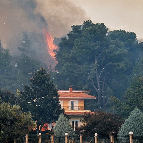 ΒΙΝΤΕΟ: Σε πύρινο κλοιό η Ηλεία-Ξέσπασαν φωτιές σε τρεις περιοχές, κάηκαν σπίτια