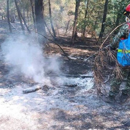 Στα μέτωπα του Έβρου και της Ροδόπης οι προσπάθειες κατάσβεσης στην Ελλάδα