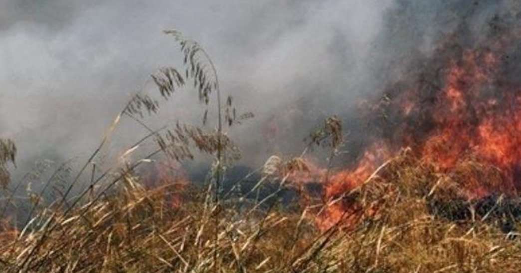 Πυρκαγιά σε ξηρά χόρτα και ακινητοποιημένα οχήματα στη Λευκωσία-Επηρεάστηκαν υποστατικά Πυρκαγιά σε ξηρά χόρτα και ακινητοποιημένα οχήματα στη Λευκωσία-Επηρεάστηκαν υποστατικά