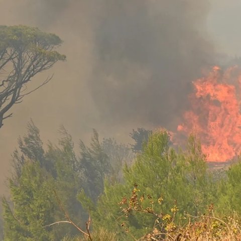 Δεν μεταβαίνει στην Ελλάδα η κυπριακή αποστολή-Σε ετοιμότητα η Κυβέρνηση