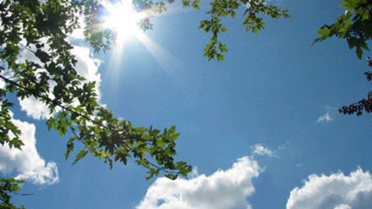 90fee00b-ca07-4ea7-8d52-189d4840eb58.jpg