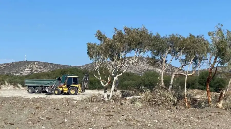 Προσπάθειες εξακρίβωσης της νομιμότητας του καθαρισμού βλάστησης στον Πύργο Λεμεσού