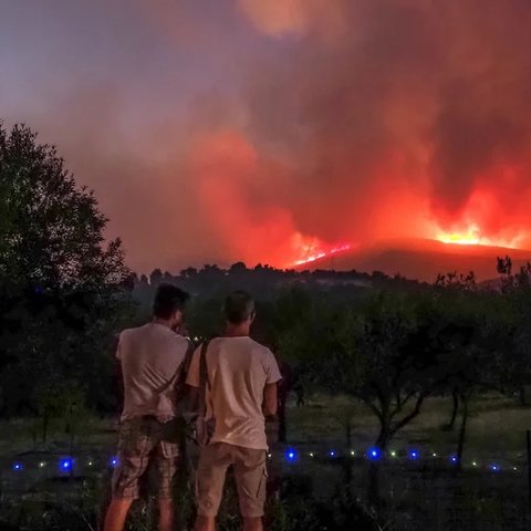 Μαίνεται η φωτιά στην Εύβοια-Προσπάθειες να περιοριστεί το μεγάλο μέτωπο (Pics)