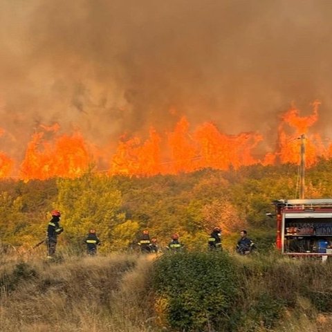 Μαθητές Γυμνασίου οι δύο που συνελήφθησαν για τη φωτιά στην Τερψιθέα