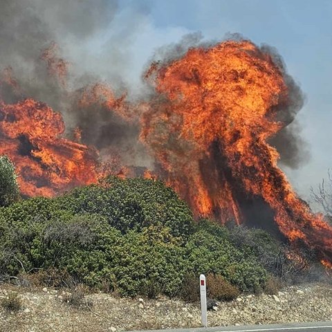 Ενεργοποιήθηκε το σχέδιο «ΙΚΑΡΟΣ» 2 για την πυρκαγιά στην Άλασσα (pics)