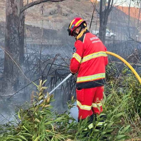 Οριοθετήθηκε η πυρκαγιά στην επαρχία Λευκωσίας(pics)