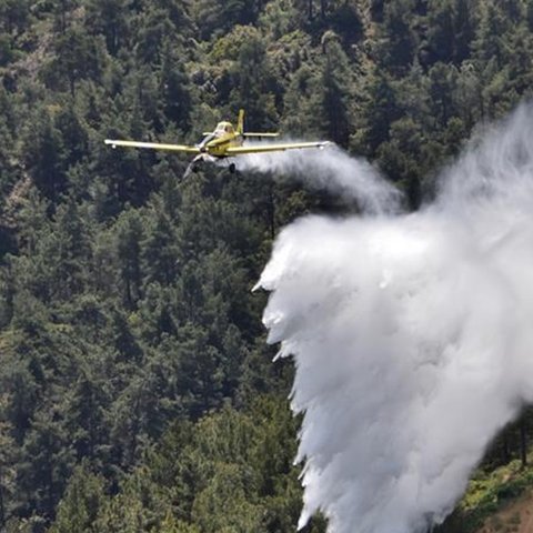 Νέο μέτωπο φωτιάς στο Δάσος Ακάμα-Στη μάχη δύο εναέρια μέσα