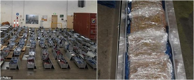 2b33edef-06e4-4ac3-8085-25cfabe4700a.jpg
