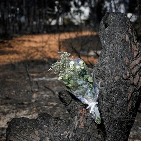 «Δεν απαντούσε η Πυροσβεστική και η Αστυνομία»-Τι είπε ο Ψινάκης στην απολογία του στη δίκη για το Μάτι