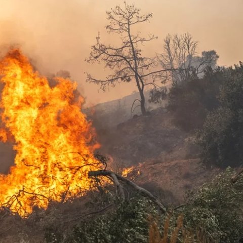 LIVE: Ανεξέλεγκτη πύρινη λαίλαπα σε Μαγνησία, νέα μέτωπα σε Χαλκιδική-Εκκενώνονται χωριά