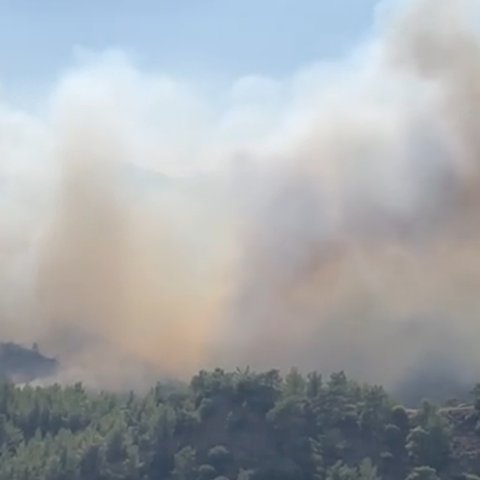 ΒΙΝΤΕΟ: Εννέα πτητικά μέσα επιχειρούν στον Άγιο Μάμα-Στήνεται συντονιστικό κέντρο