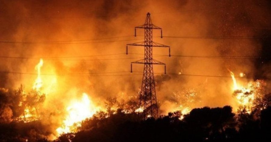 Το 25% των καμένων περιοχών στην Κύπρο εντοπίζεται εντός των περιοχών Natura2000