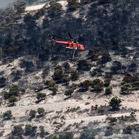 Αποκαρδιωτικά τα στοιχεία για τις φωτιές στην Ελλάδα-Πέραν των 160 συλλήψεων για εμπρησμούς