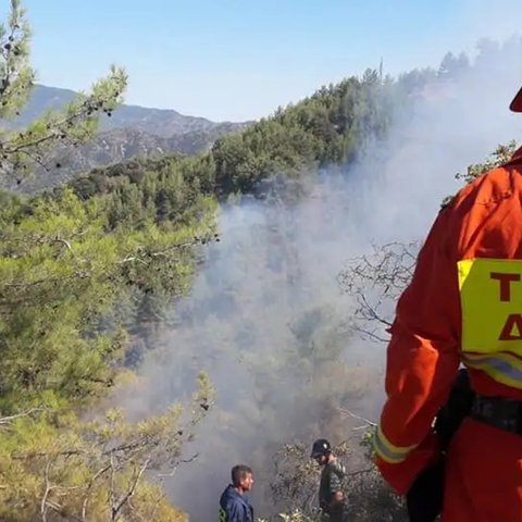 Απαντά στις συντεχνίες το Τμήμα Δασών-Ενεργεί έγκαιρα για τα θέματα στελέχωσης