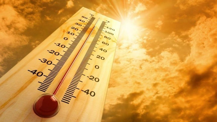 02c71e12-5507-46d5-84de-458d4e7450f6.jpg