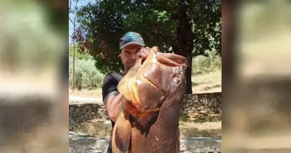 Απίστευτη ψαριά για ψαροντουφεκά στον Βόλο-Έβγαλε από τη θάλασσα ροφό 27 κιλών