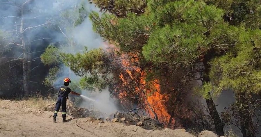 Νομική Υπηρεσία: Ανάγκη για αυστηρές ποινές δείχνει πρόσφατη δικαστική απόφαση για εσκεμμένη πρόκληση φωτιάς