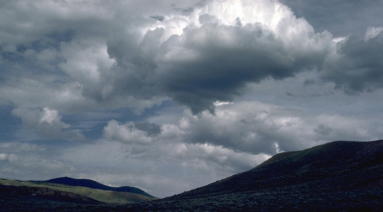 5a81f4dd-e795-4822-9abd-cc86c3b3e911.jpg