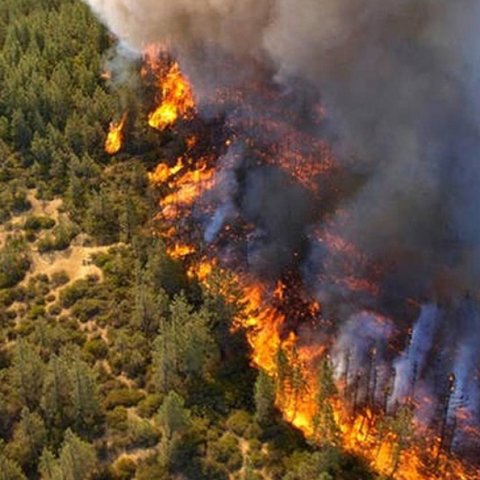 Έξι τροποιητικά νομοσχέδια στη Βουλή για αντιμετώπιση των πυρκαγιών