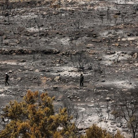 LIVE: Υψηλές θερμοκρασίες αλλά μικρές αναζωπυρώσεις στα μέτωπα-Πτητικά μέσα επιτηρούν την περιοχή