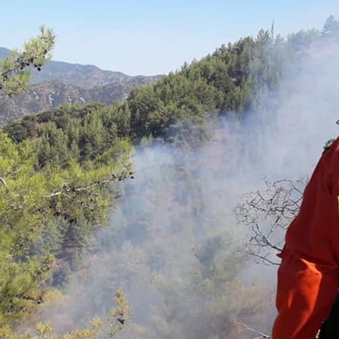 Πρόλαβαν τα χειρότερα στη Δρούσεια-Κατέσβησαν άμεσα πυρκαγιά δασοπυροσβέστες