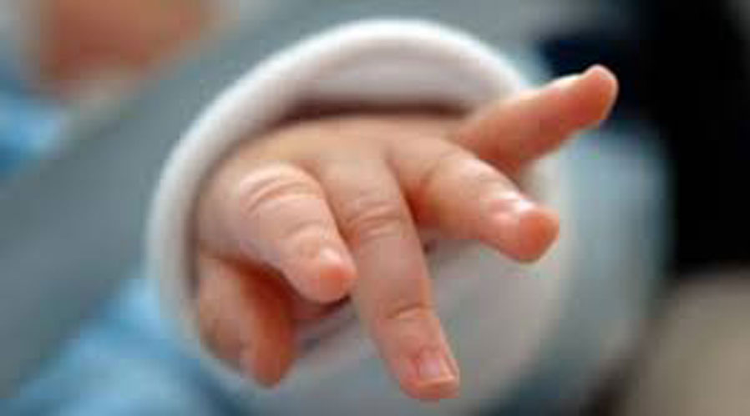 6c33fb23-d5ef-43c2-b338-4c3b866cca77.jpg